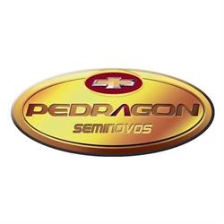 Pedragon Seminovos