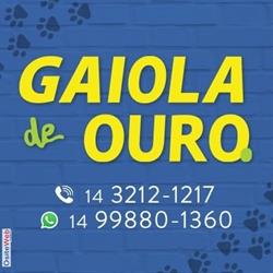 Gaiola de Ouro