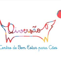 Diversão - Centro de Bem Estar para Cães
