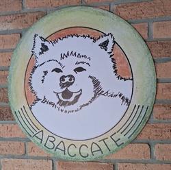 Bandeirantes Tradicional Abaccate
