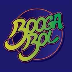Boogabol - Casa de Festas Infantil