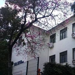 Escola Municipal Conselheiro Mayrink