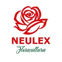 Floricultura Neulex