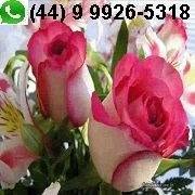 Floricultura Tiradentes