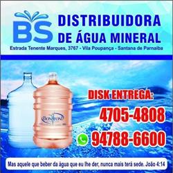BS DISTRIBUIDORA DE ÁGUA E GÁS
