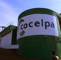 Cocelpa - Cia Celulose e Papel do Paraná