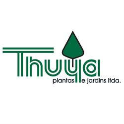 Thuya Plantas e Jardins