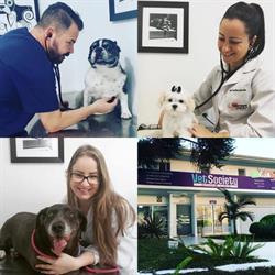 Vet Society Animal Care - Clínica Veterinária