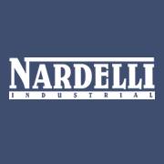 Telas de Projeção - Nardelli