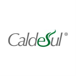 Caldesul