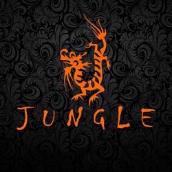 Jungle Casa Decoração Oriental Vasos e Móveis