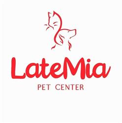 Late Mia