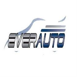 Everauto - Peças Elétricas