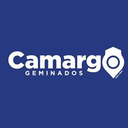 Imobiliária Camargo