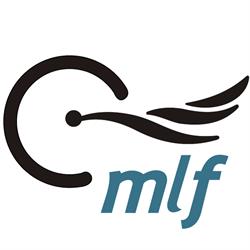 MLF Consultoria Tributária