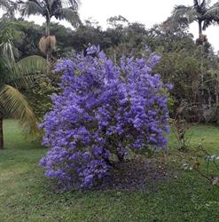 Chácara Ribeirão Vermelho