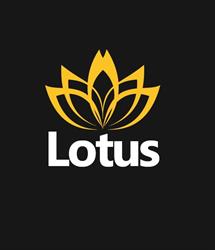 Lotus Estruturas Metálicas