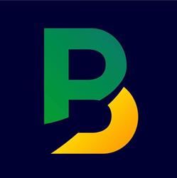 Brazilian International Business