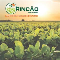 Rincão Campo Grande