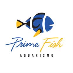 Prime Fish Aquarismo
