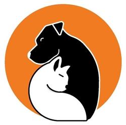 Veterinária Anchieta - Clinica Veterinária BH - Sion - Mangabeiras