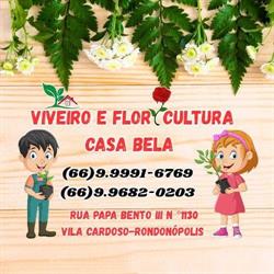 Viveiro e Floricultura Casa Bela