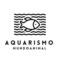 Aquarismo Mundo Animal Limeira