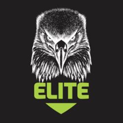 Elite Segurança Eletrônica
