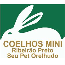 Coelhos Mini Ribeirão Preto