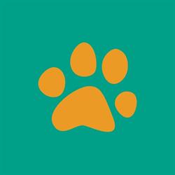 4Pets - Centro de bem-estar canino