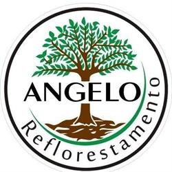 Angelo Reflorestamento