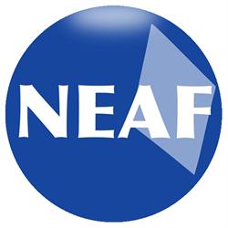 NEAF Concursos Públicos
