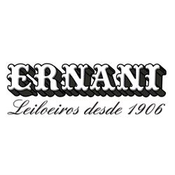 Ernani Leiloeiro Público & Espaço Ernani de Arte e Cultura