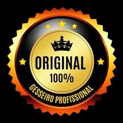 Gesseiro Profissional - RJ