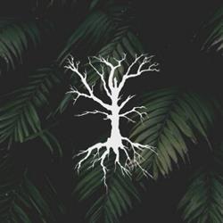 Roots Boho Style