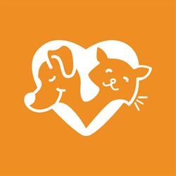 Clube VetPet - Creche Canina