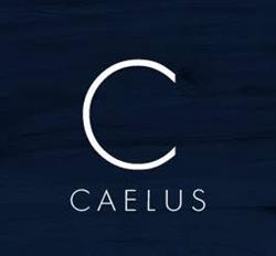 Caelus Laser - Corte a laser BH