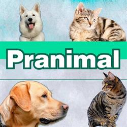 Pranimal - Clínica Veterinária, Petshop, Banho e Tosa