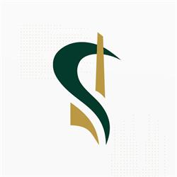 D S Contadores Associados
