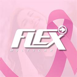 Flex Multicar