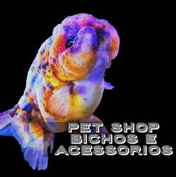 Pet Shop Bichos e Acessórios