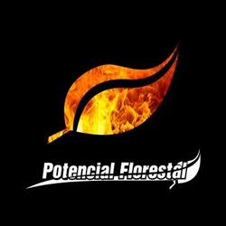 Potencial Florestal Comércio e Transpo