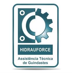 Hidrauforce Guindastes