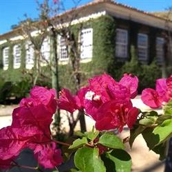 Museu Casa da Hera