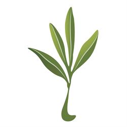 Cemitério Jardim das Oliveiras