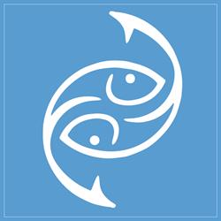 AQUA PHOENIX