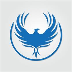 Fênix Way Logistica