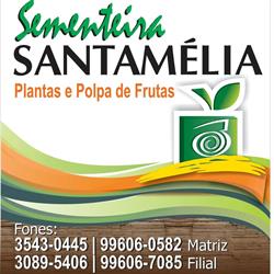 Sementeira Santamélia