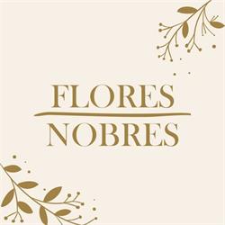 Floricultura Flores Nobres - Graças