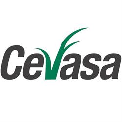 Central de Energia,Usina Cevasa Patrocínio Paulista